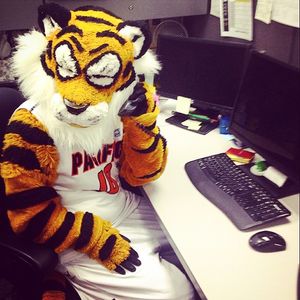 Image post by @pacifictigers on Instagram