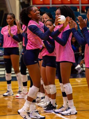 Image post by @gojsutigersvb on Instagram
