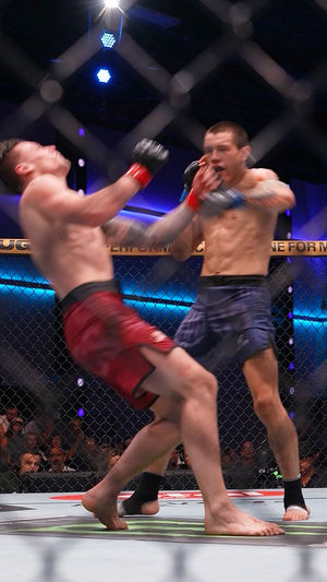 Image post by @ufc_korea on Instagram