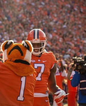 Image post by @thetiger_cu on Instagram