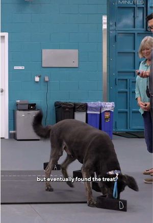 Video post by @60minutes on TikTok