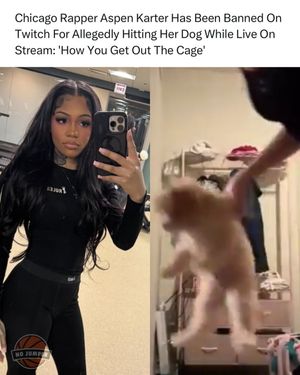 Image post by @nojumper on Instagram
