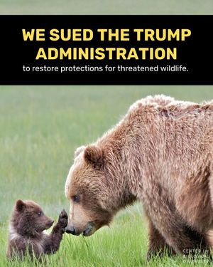 Image post by @centerforbiodiv on Instagram