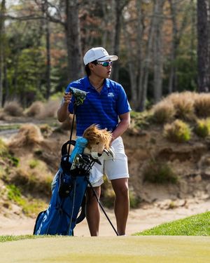 Image post by @hofstramgolf on Instagram