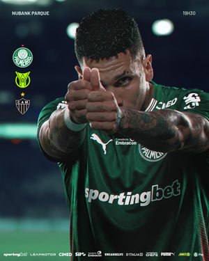 Image post by @palmeiras on Instagram