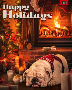 Image post by @tgbc_official on Instagram