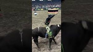 Video post by @pbr on YouTube