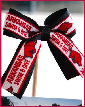Image post by @razorbackswimdive on Instagram