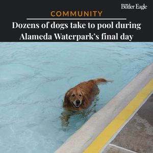 Image post by @butlereaglenews on Instagram