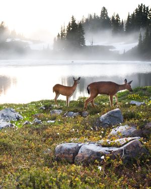 Image post by @usgs on Instagram
