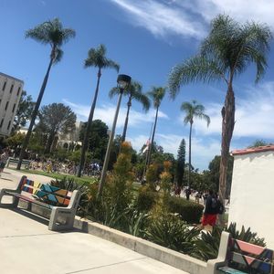 Image post by @sdsufowler on Instagram