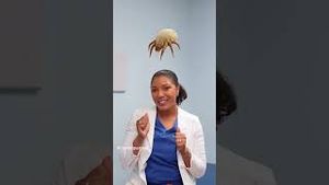 Video post by @claritin on YouTube