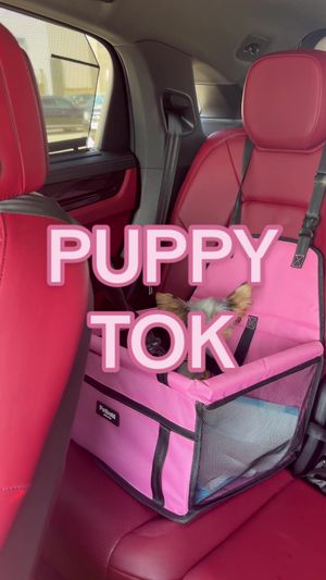 Video post by @maibrantesq on TikTok