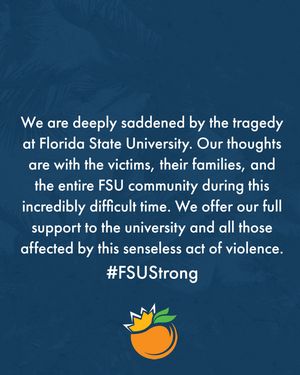 Image post by @orangebowl on Instagram