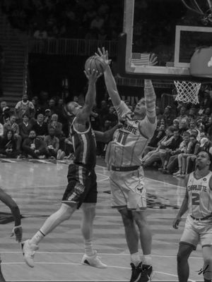 Image post by @serenelensphoto on Instagram