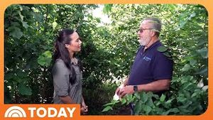 Video post by @today on YouTube