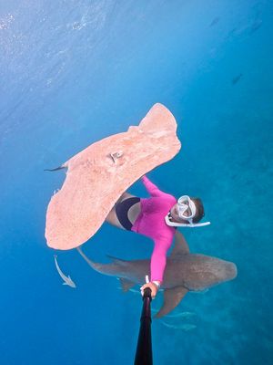 Image post by @gopro on Instagram