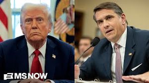 Video post by @msnbc on YouTube