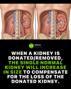 Image post by @science on Instagram