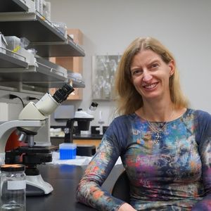 Image post by @csunaturalsciences on Instagram