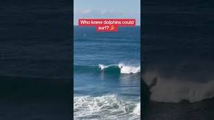 Video post by @culturemediaofficial on YouTube