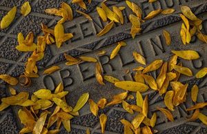 Image post by @oberlincollege on Instagram