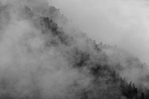 Image post by @skicrestedbutte on Instagram