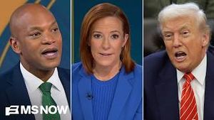 Video post by @msnbc on YouTube