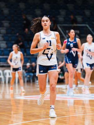 Image post by @bendigobasketball on Instagram