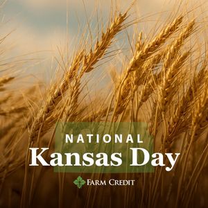 Image post by @farmcredit on Instagram
