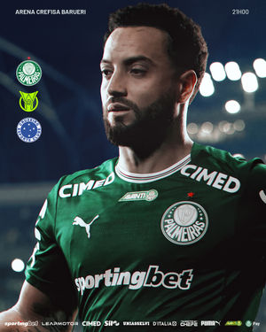 Image post by @palmeiras on Instagram