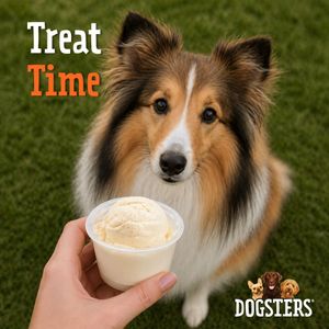 Image post by @dogstersicecream on Instagram