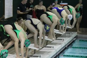 Image post by @herdwswimdive on Instagram