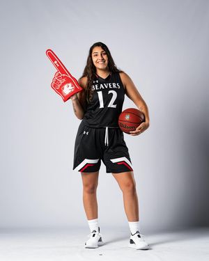 Image post by @arbaut_photography on Instagram