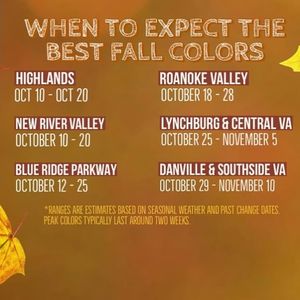 Image post by @SpringHillRoanoke on Facebook