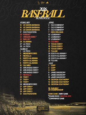 Image post by @southernmissbsb on Instagram