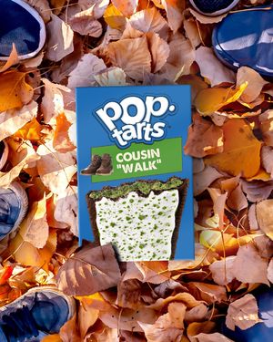 Image post by @poptartsus on Instagram