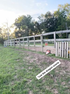 Video post by @perfectly_abby on TikTok
