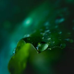 Image post by @lathanuelf_photos on Instagram