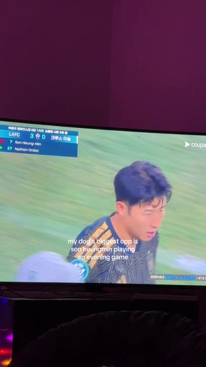 Video post by @sebinjeon on TikTok