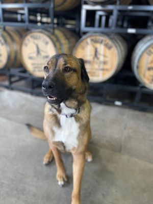 Image post by @10thmtnwhiskey on Instagram