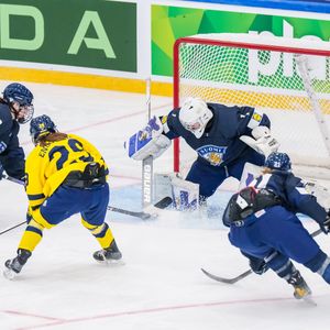 Image post by @leijonatfi on Instagram