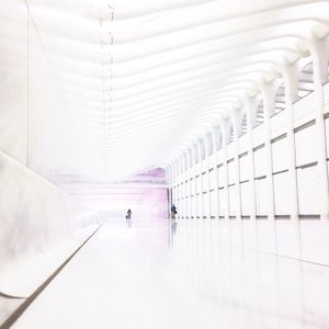 Image post by @ysann3 on Instagram