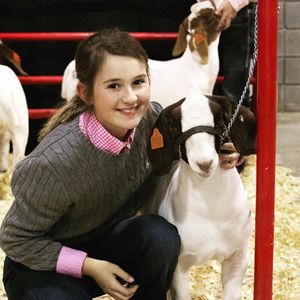 Image post by @american_royal on Instagram