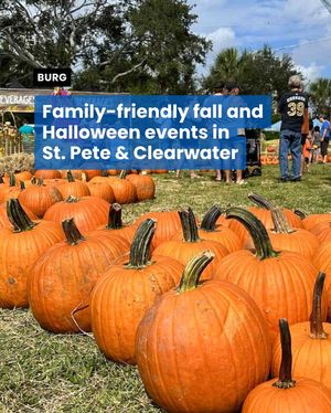 Image post by @ilovetheburg on Instagram