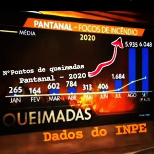 Image post by @operitoambiental on Instagram