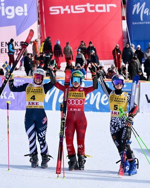 Image post by @fisalpine on Instagram