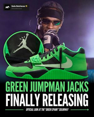 Image post by @soleretriever on Instagram