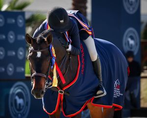 Image post by @usequestrian on Instagram