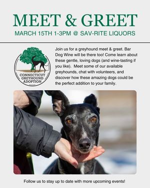 Image post by @ctgreyhounds on Instagram